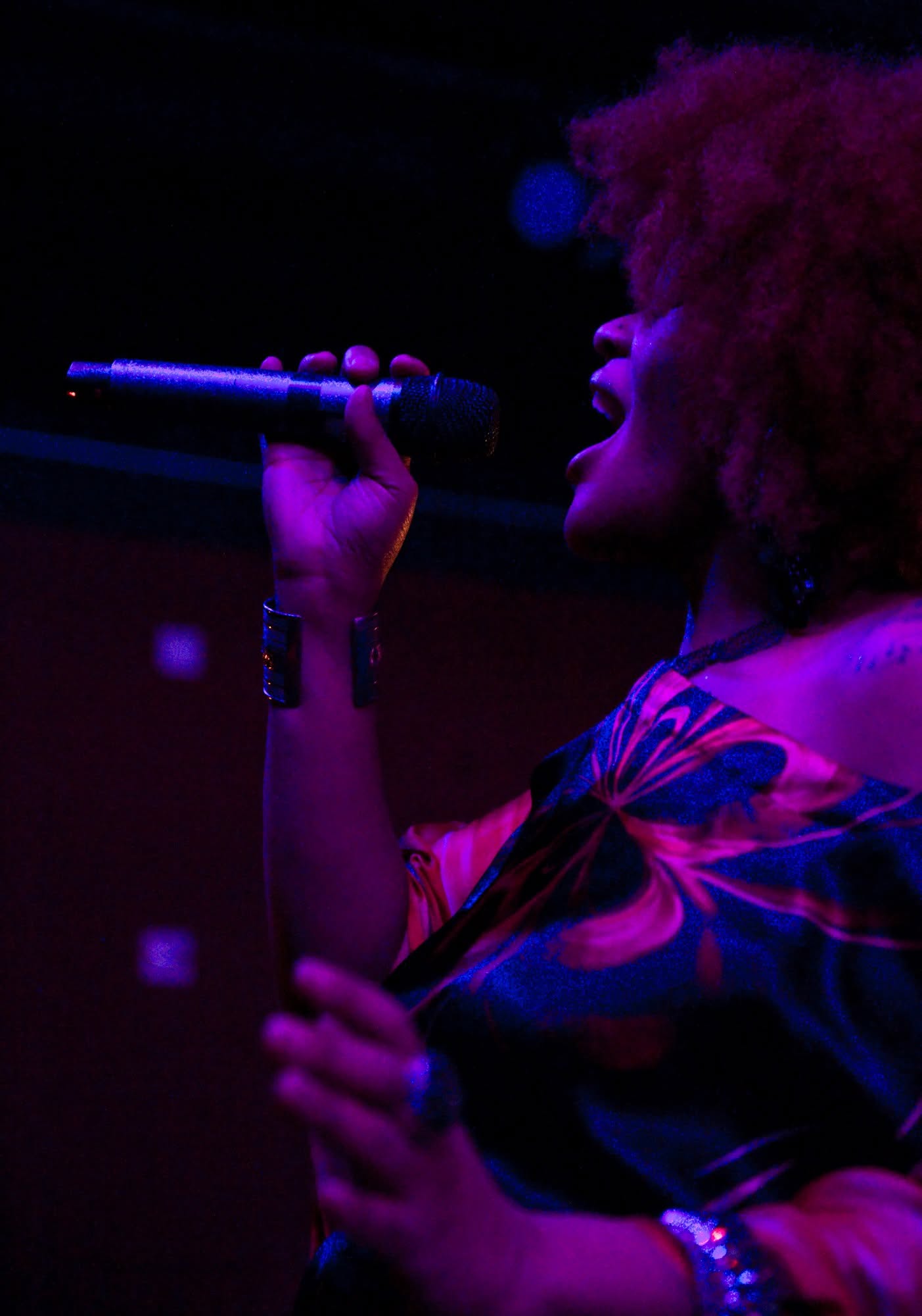 Lisa Mack performing in profile with a handheld microphone